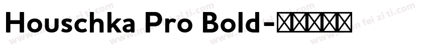 Houschka Pro Bold字体转换